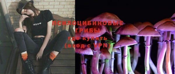 тгк Алексеевка